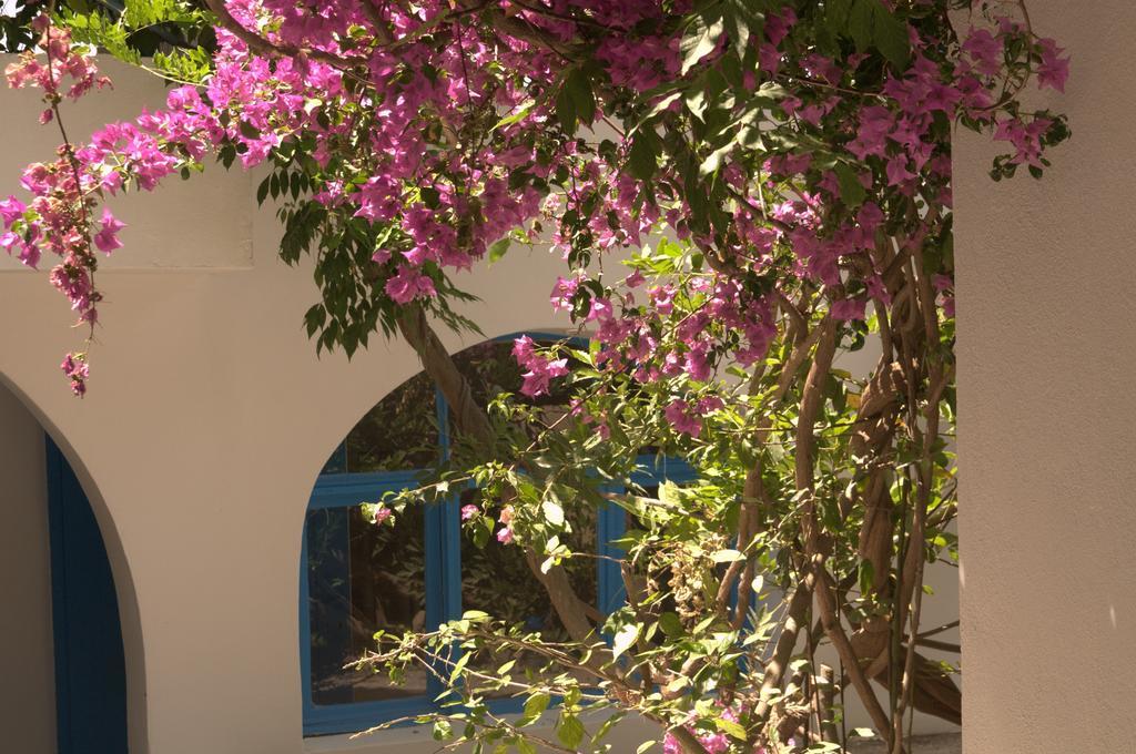 Pasalimani Hotel Çeşme Eksteriør billede